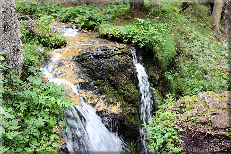 foto Cascate alte in Vallesinella